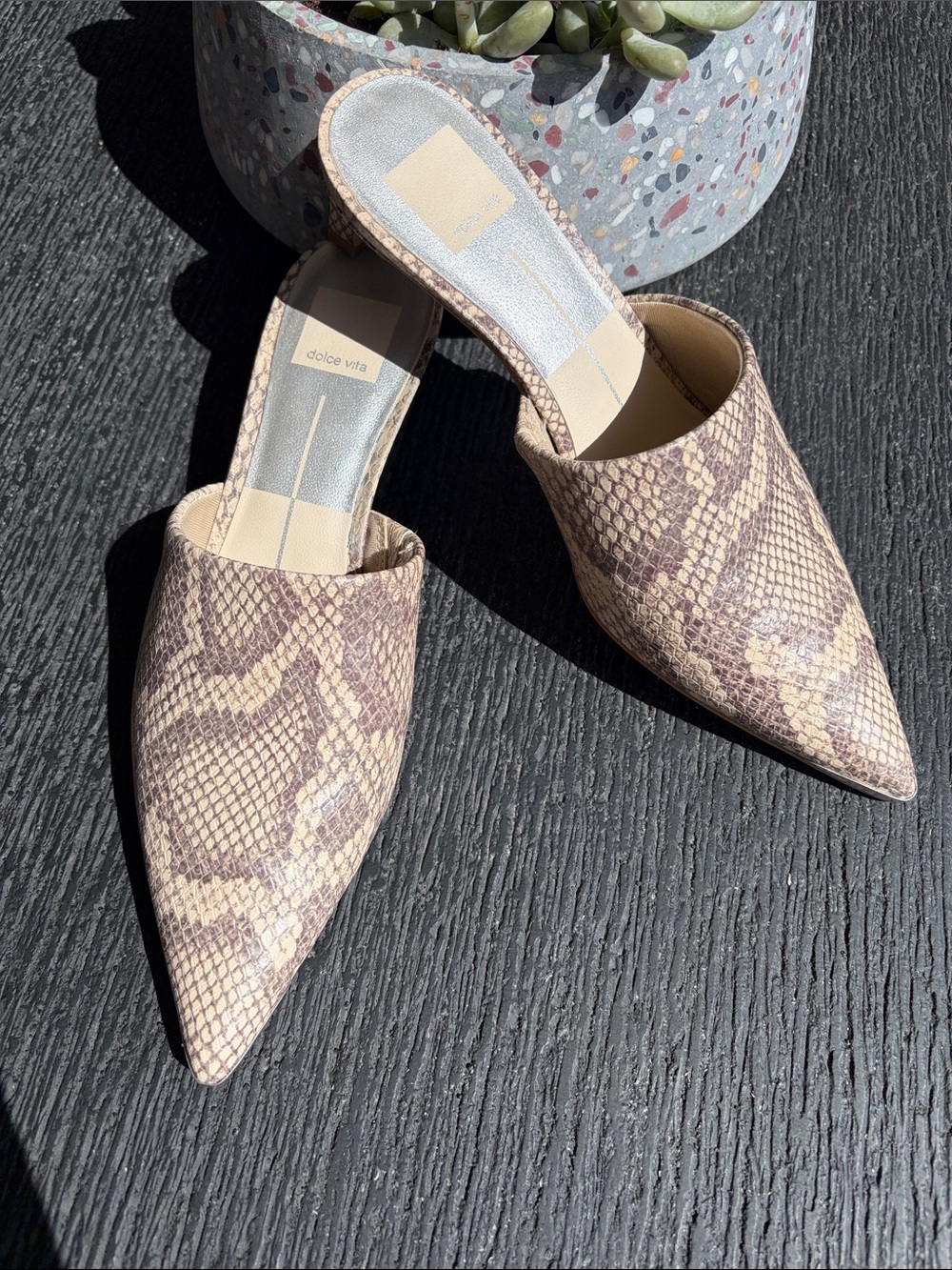 Dolce Vita Snake-Print Pointed Toe Mule - Beige/Brown